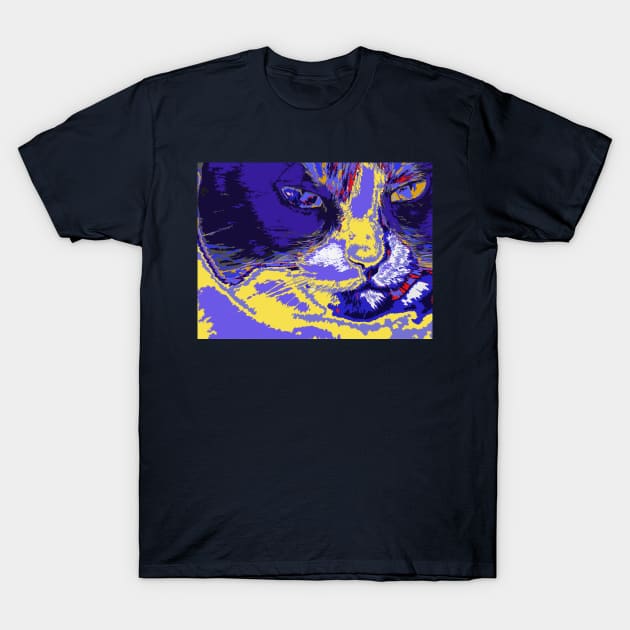 Cat in abstract colors T-Shirt by rolffimages